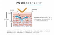 皮肤屏障该如何修复